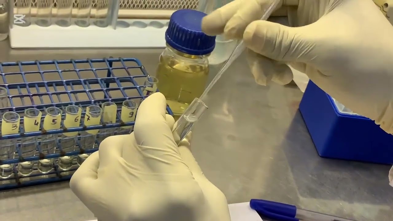 Technique de l antibiogramme en milieu détaillée #new #foryou #education