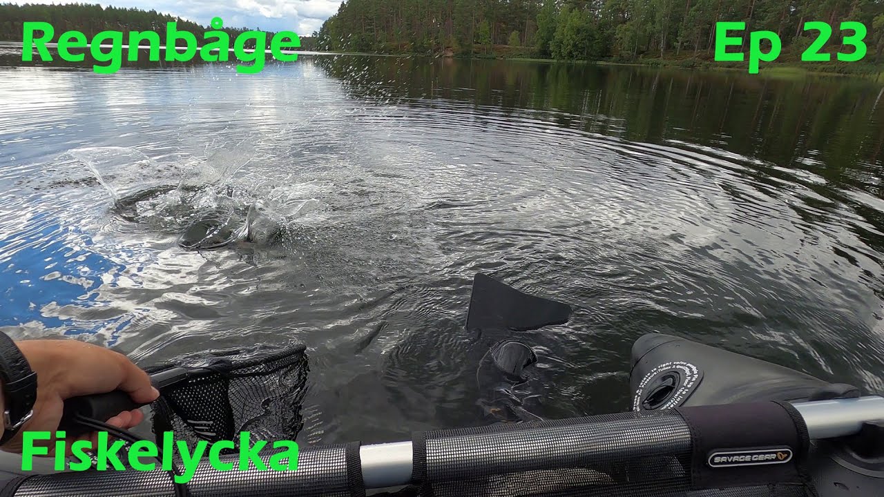 Fiske i Hökensås. Sydvattnet och S. Prinsasjön. | Fiskelycka | Ep 23