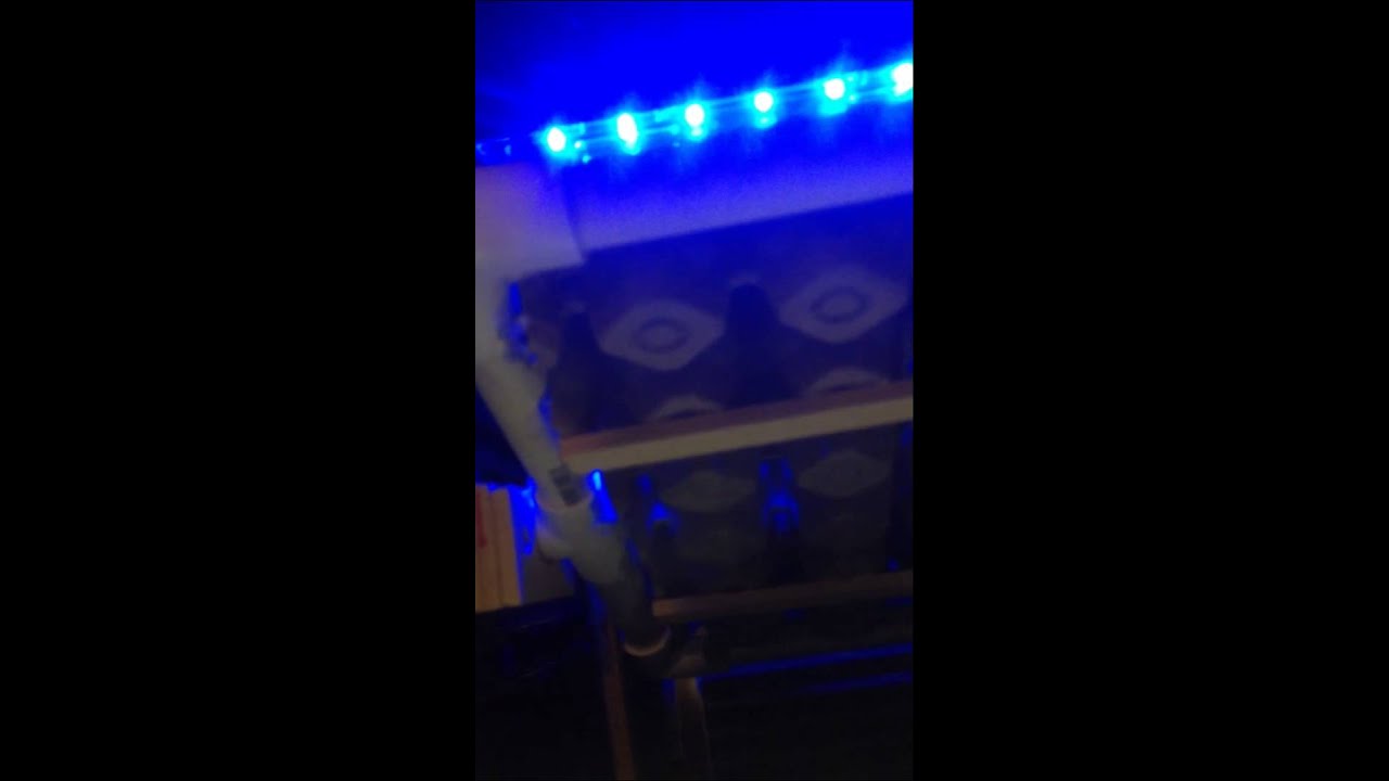 Wine Cooler Incubator