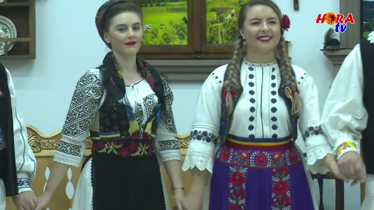 IONEL PUIU - PLINA-I LUMEA DE IONI