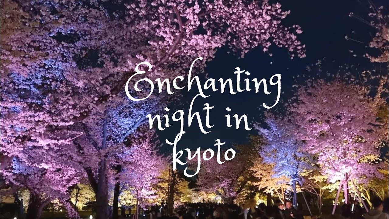 🌸IG photos spot in cherry blossoms wonderland - NAKED FLOWERS@ Nijo Castle! #kyotosakura