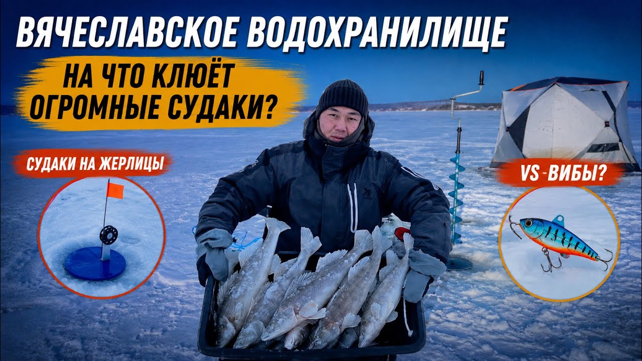 РЫБАЛКА НА СУДАКА В МОРОЗ#врек #рыбалка #fishing #судак #мороз #зимняярыбалка #зимняяловлярыбы 