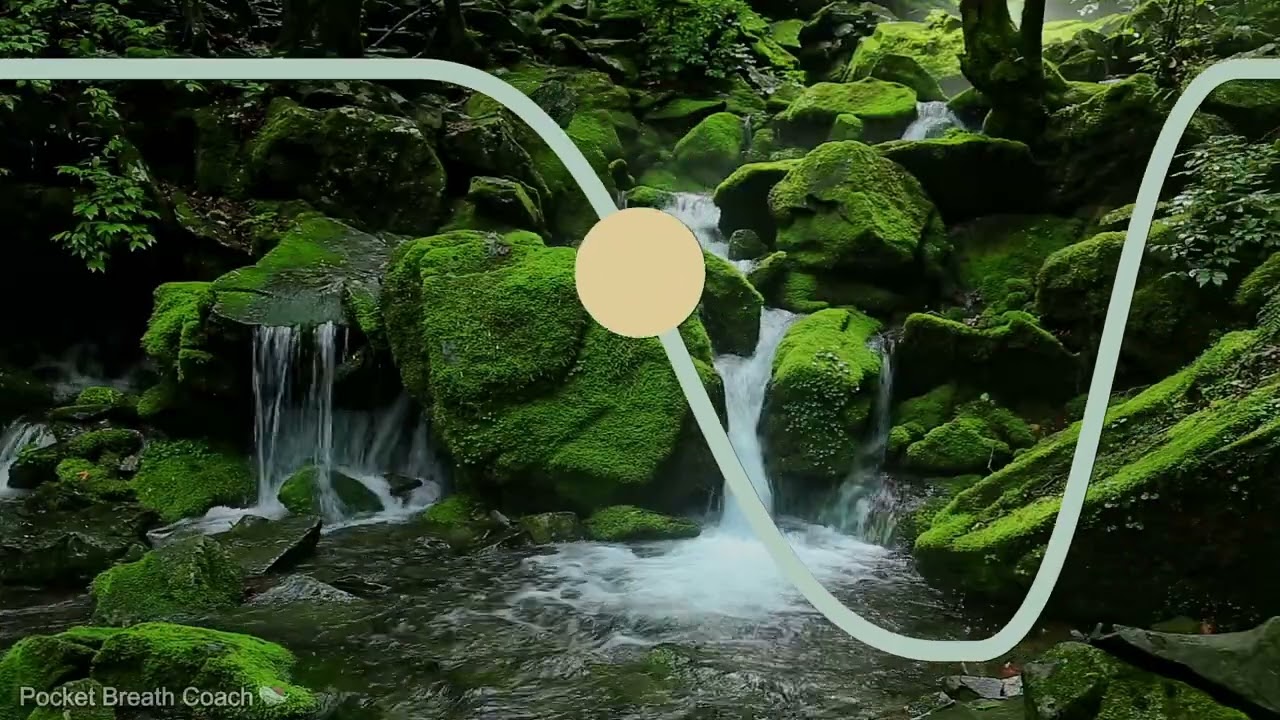 Controlled Breathing 4-7-8: Sleep & Calm