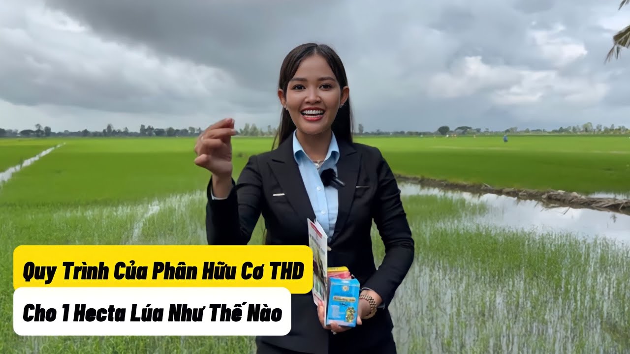 Quy Trình Canh Tác Lúa Giúp Bà Con Làm Giàu Trên Mảnh Đất Quê Hương Của Mình