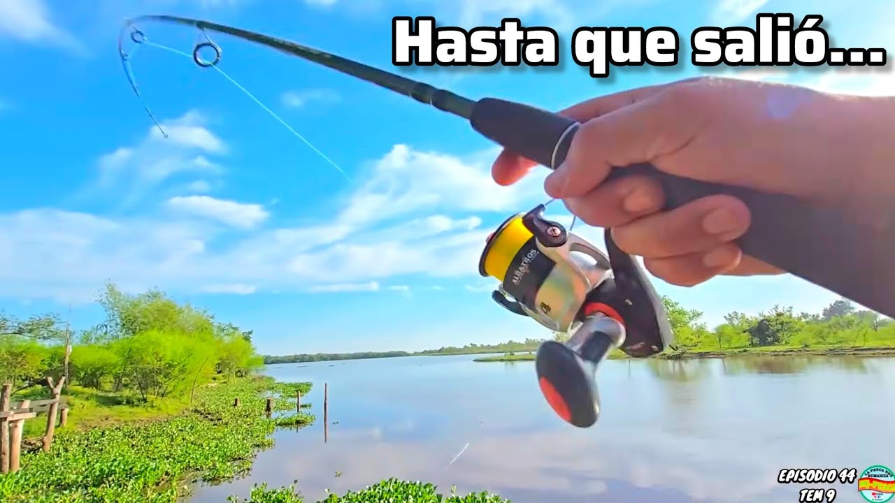 PESCA Y COCINA en el río paranacito, camping feliz lugar recomendado y muy bueno, aventura mjpesca