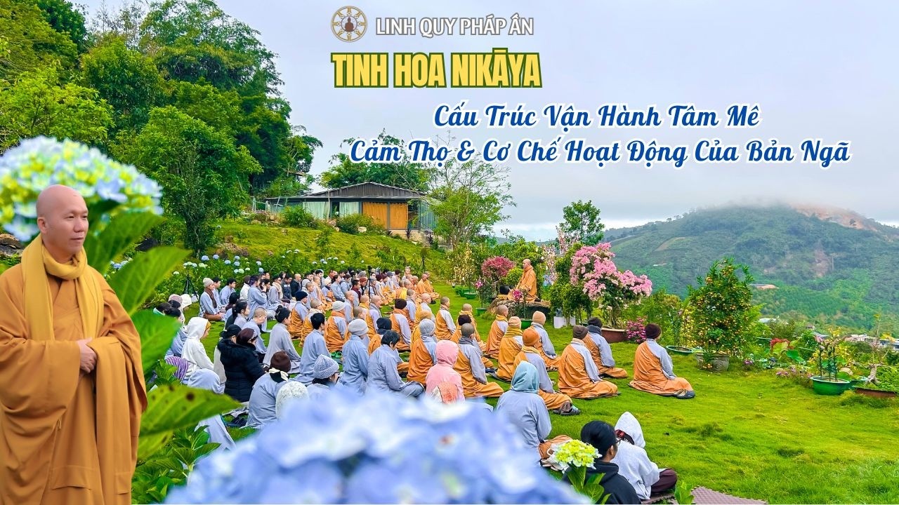 NIKAYA Thiền Quán