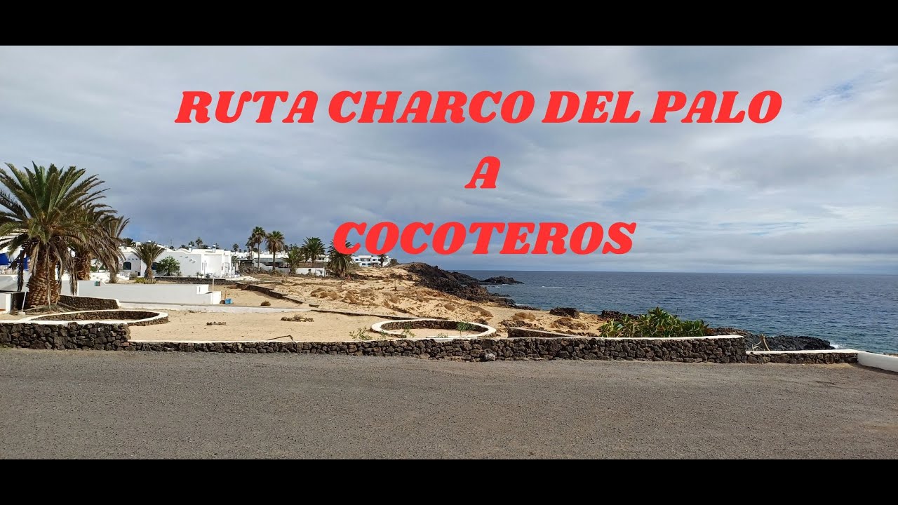 CHARCO DEL PALO LOS COCOTEROS