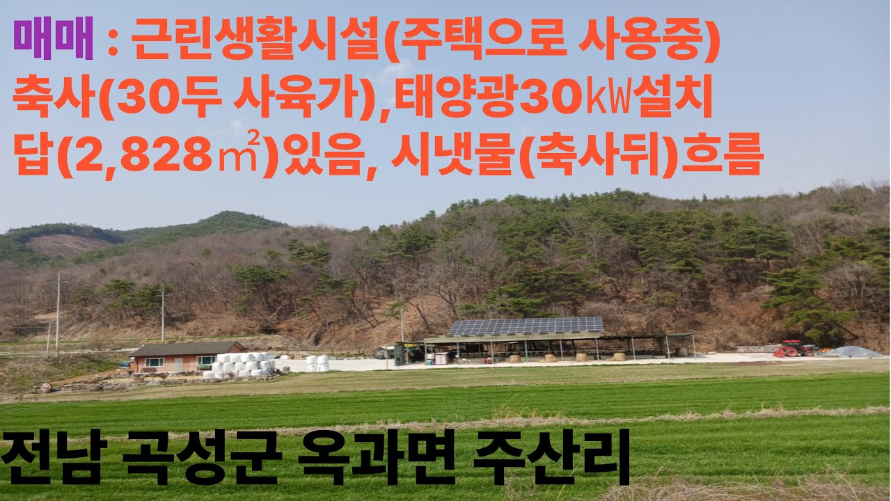 [매물76호]전남 곡성군 옥과면 주산리 근린생활시설(주택으로 사용중).축사(30두 사육가).태양광30㎾설치됨. 답(2,828㎡:855평)  매매... 시냇물(축사뒤)흐르는 곳.