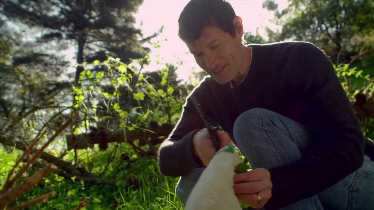 Daniel Patterson: Coi, Stories and Recipes