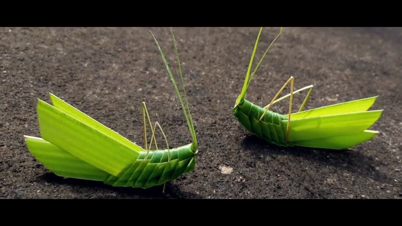 how to make grasshopper with coconut leaf | ART OF AMAIA .