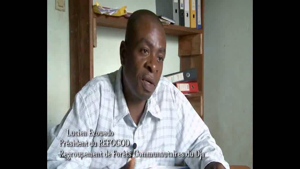 Sur le sentier difficile des forêts communautaires au Cameroun
