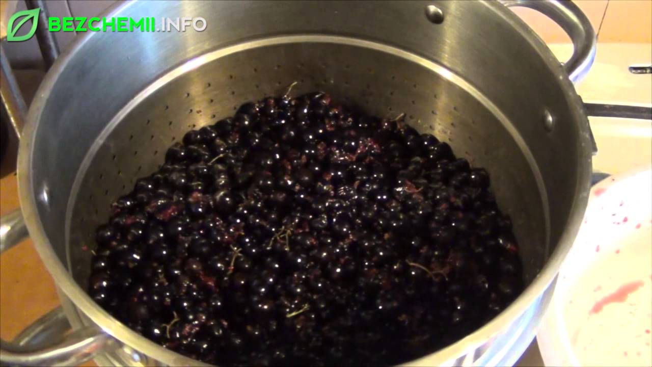 Jak zrobić sok z czarnej porzeczki?