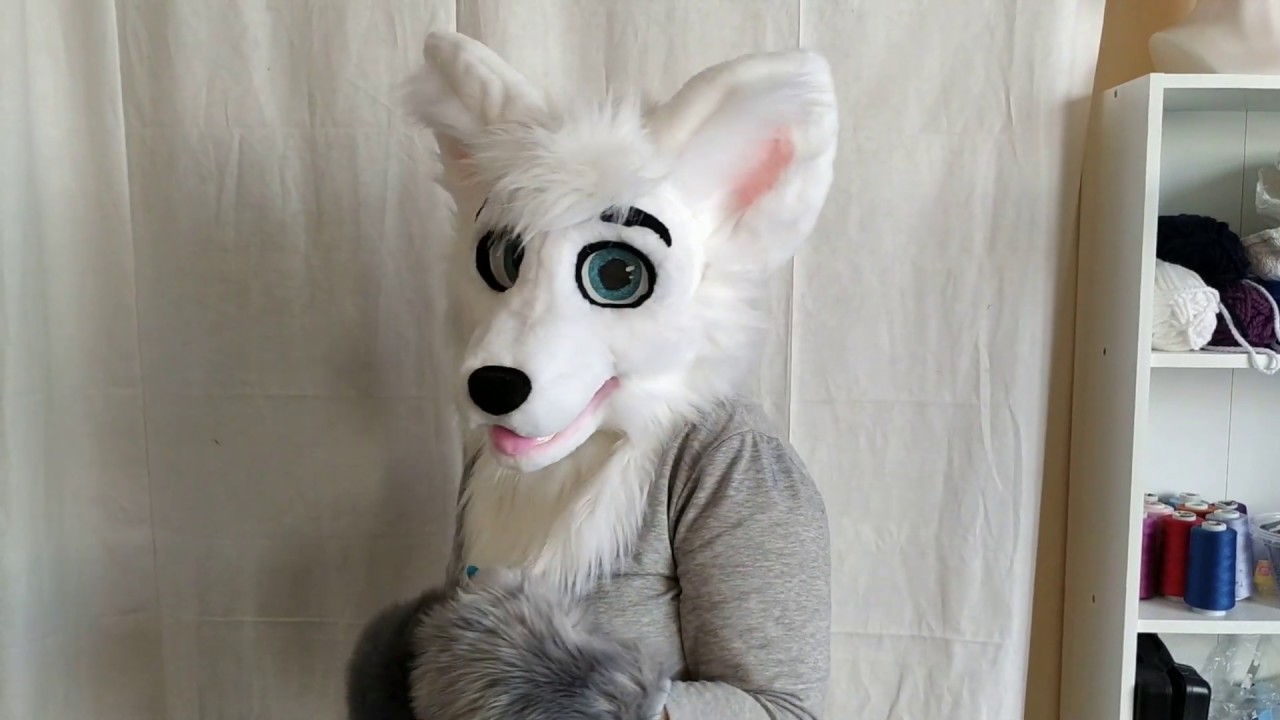 Polar fox