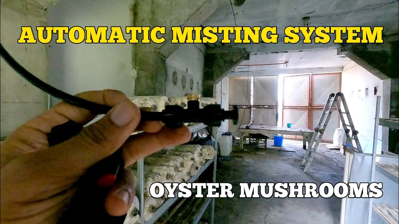 🍄 Automatic Misting System for Oyster Mushroom Production