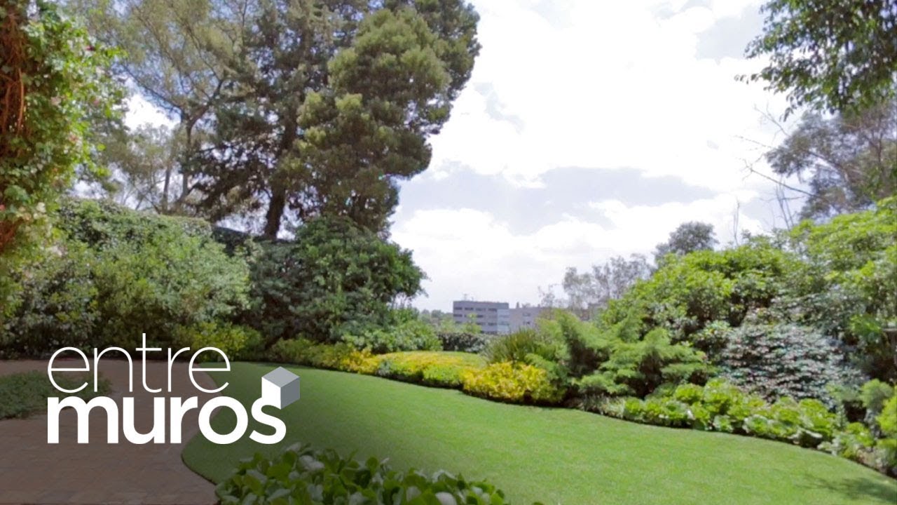 Consejos para lograr el jardín ideal. Entremuros