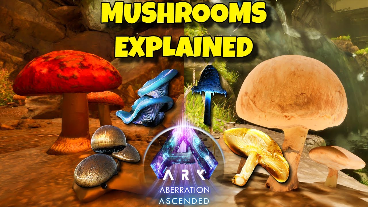 Все эффекты грибов на Aberration | Ark Survival Ascended