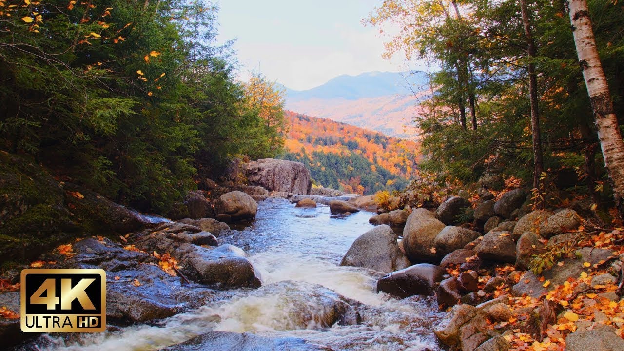 Mountain River in Autumn Colors | 10h Relaxing Ambience for Sleep & Focus