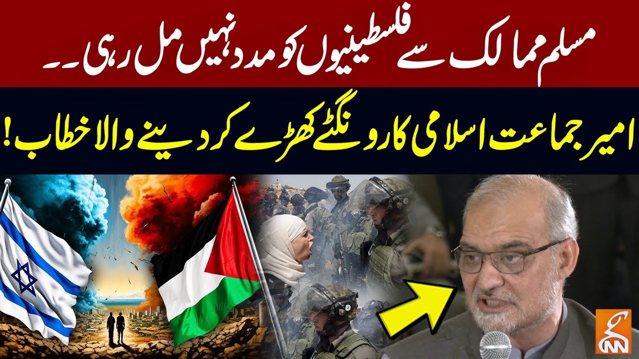 Ameer Jamaat e Islami Hafiz Naeem ur Rehman Hard-Hitting Speech In APC  | Palestine Solidarity Day