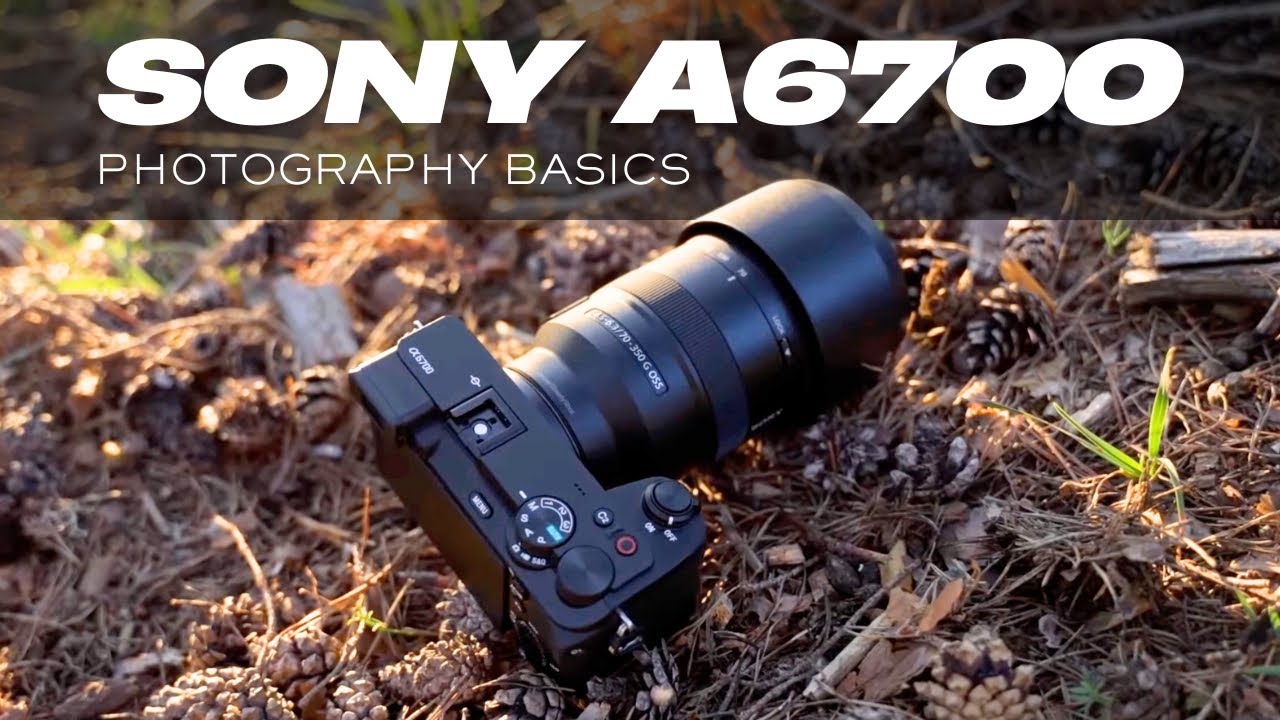 Sony A6700 Photography Basics (Beginner's Tutorial)