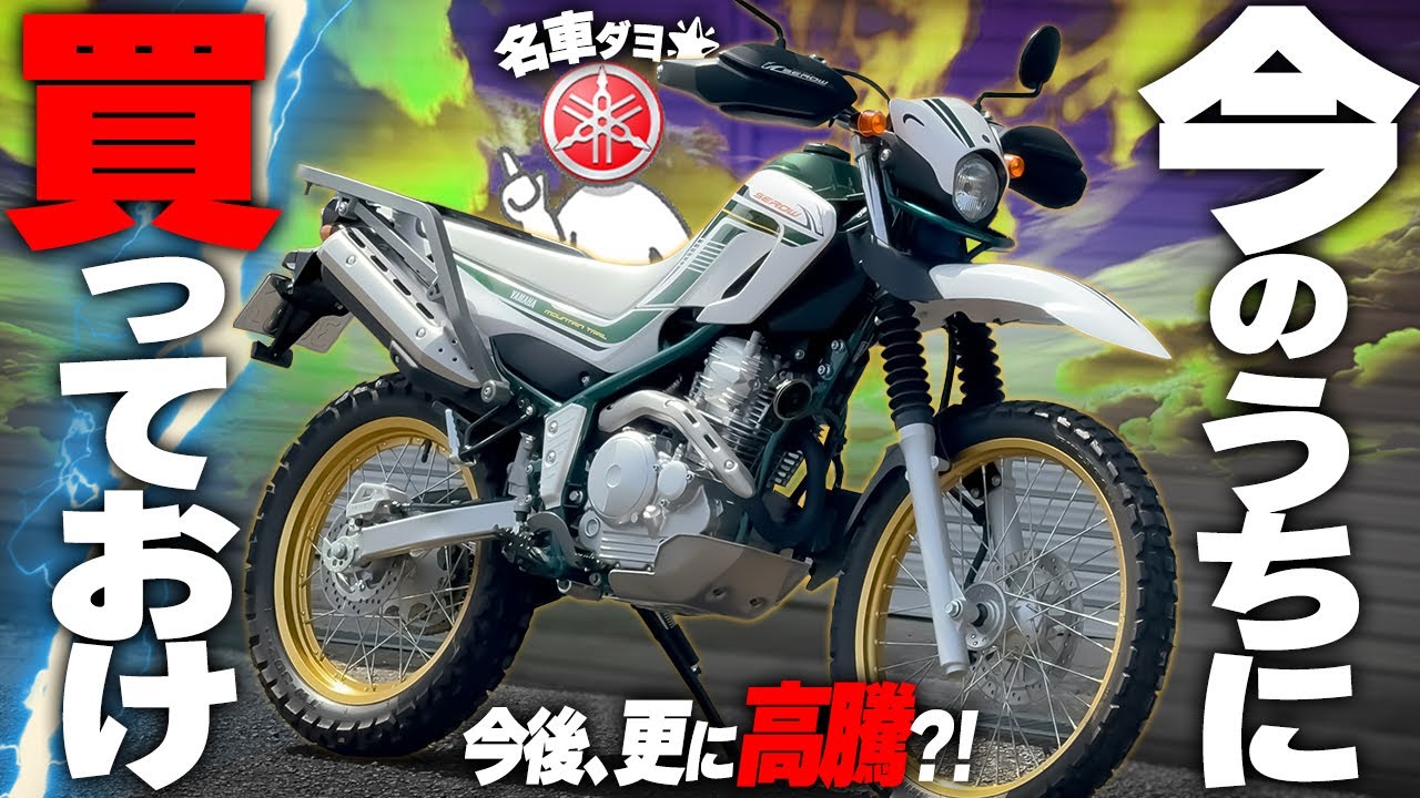【250ccの最高傑作】価格高騰中！『セロー250』が万能神バイクと呼ばれる理由【ヤマハの名車】