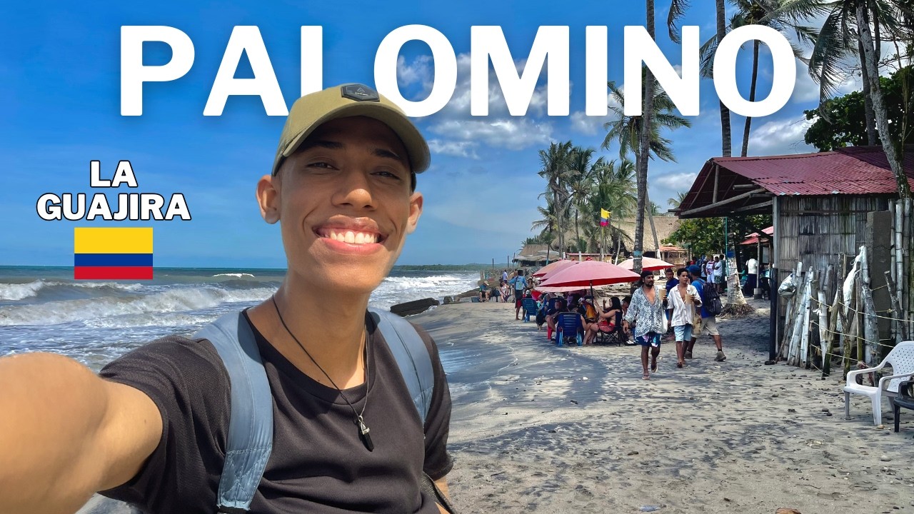 Así es PALOMINO, el PUEBLO más TURISTICO de COLOMBIA