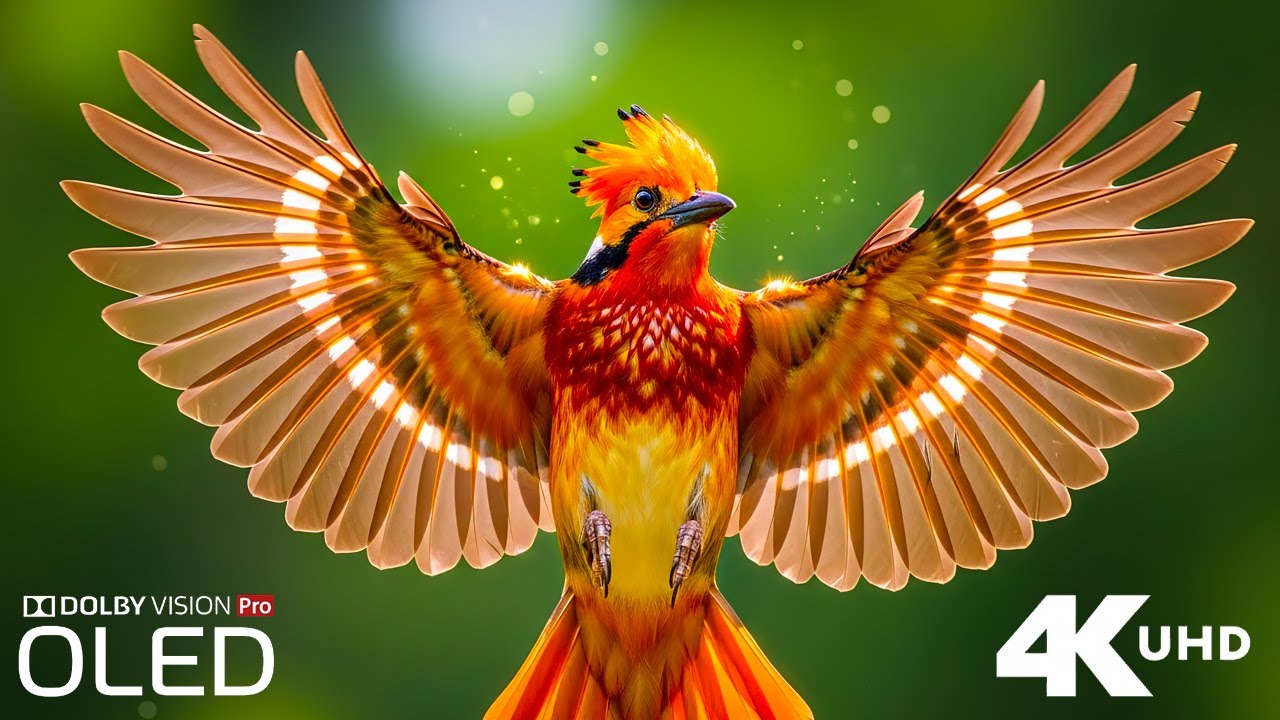 Animals 4K – Immersive Wildlife Nature Film with Peaceful Instrumental Music