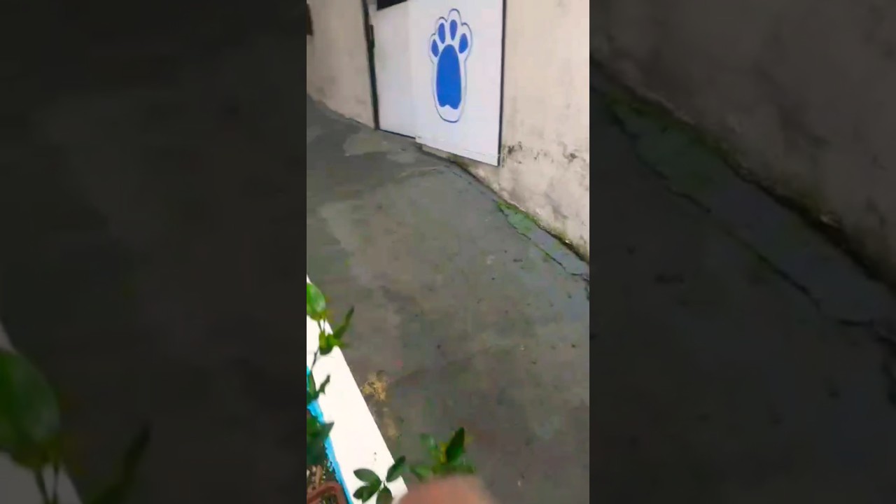 &Aacute;rea Pet - Vida em Condom&iacute;nio