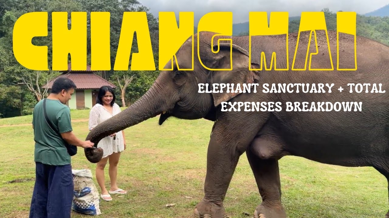 Elephant Sanctuary Tawan Riverside: Bathing, Feeding, Activities & Total Expenses Breakdown
