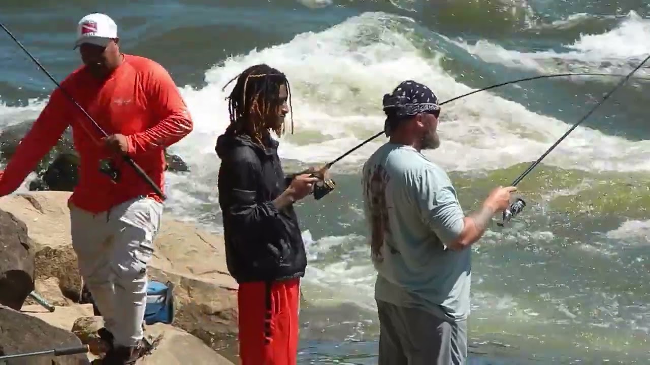 ROCKFISH FROM THE BANK AT NOON! These guys wore the stripers out fishing from the Rocks Weldon Ramp.