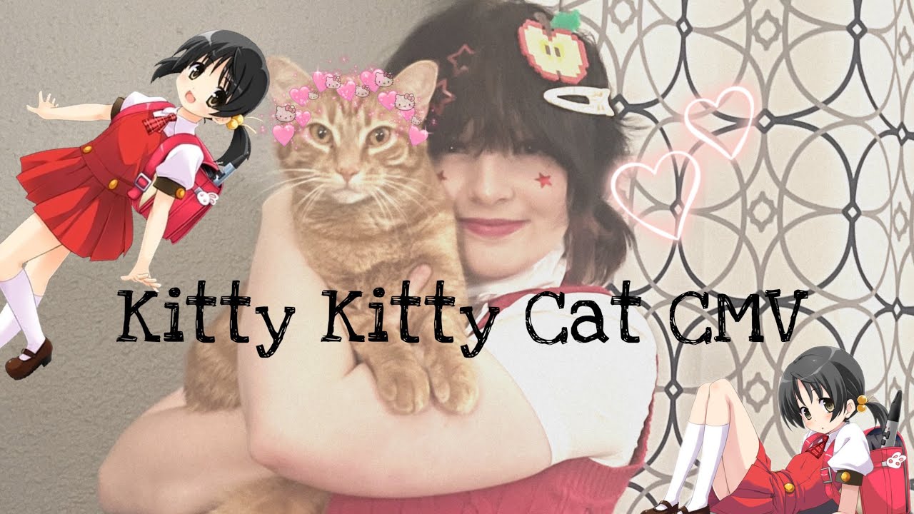 Kitty Kitty Cat Kaai Yuki CMV!!!