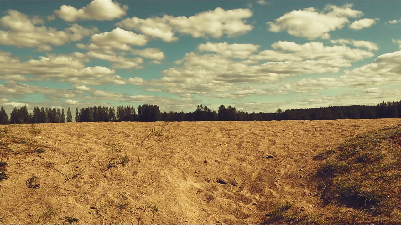 Kes&auml; 2021 - P&auml;iv&auml; rannalla