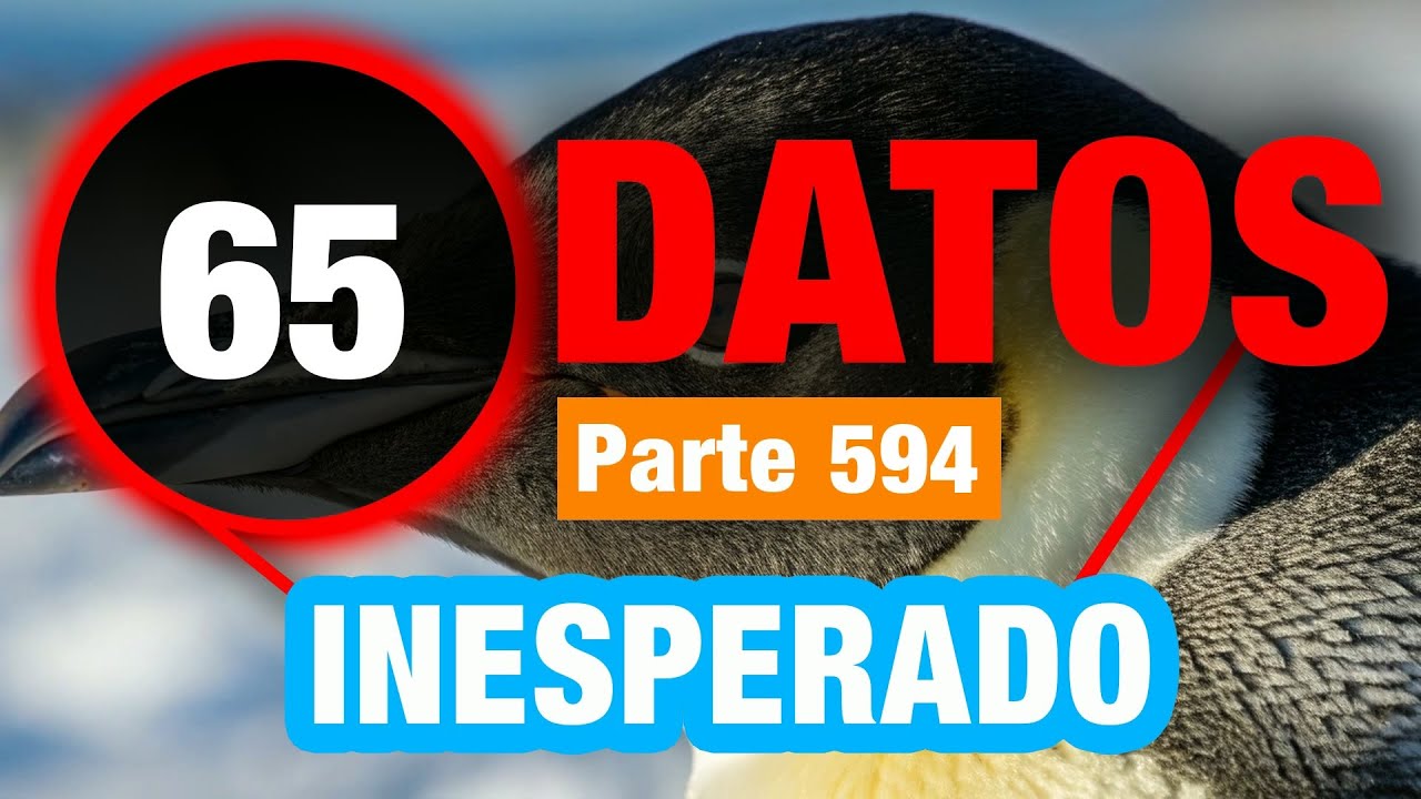 65 Datos Únicos e Incomparables Que Te Sorprenderán