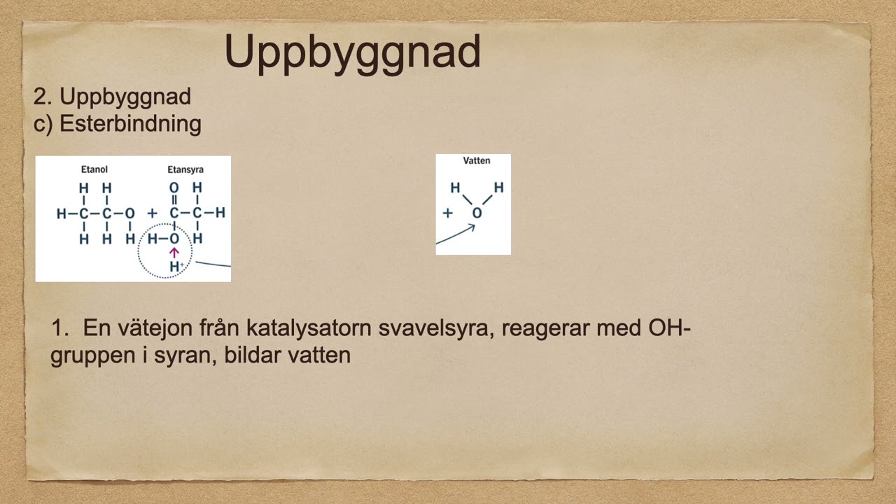 Estrar