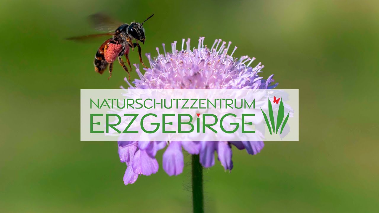 Imagefilm des Naturschutzzentrums Erzgebirge
