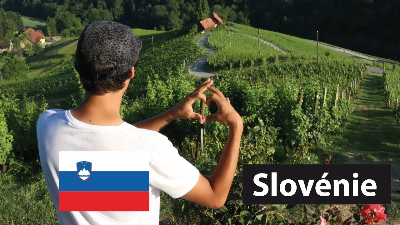 LES CYGNES DE MARIBOR | Slovénie 2016 #6