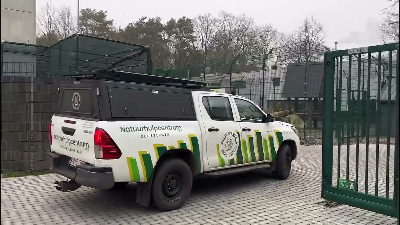 Ree gered uit Aquafin bassin Genk - Natuurhulpcentrum