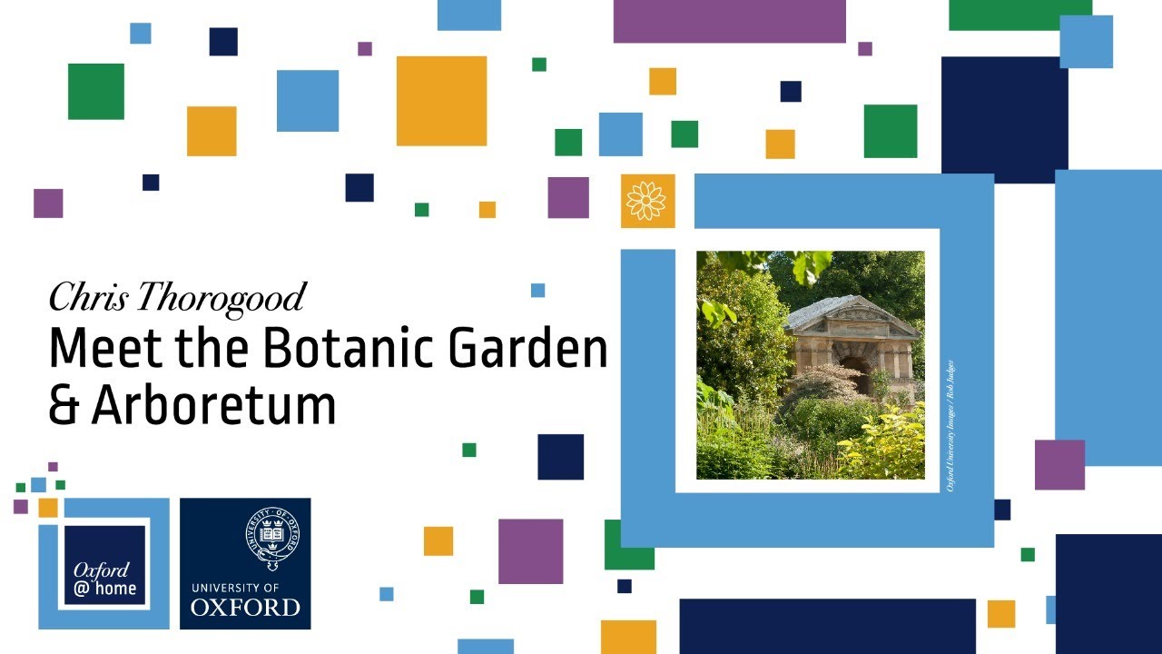 Oxford at Home: Meet the Botanic Garden and Arboretum