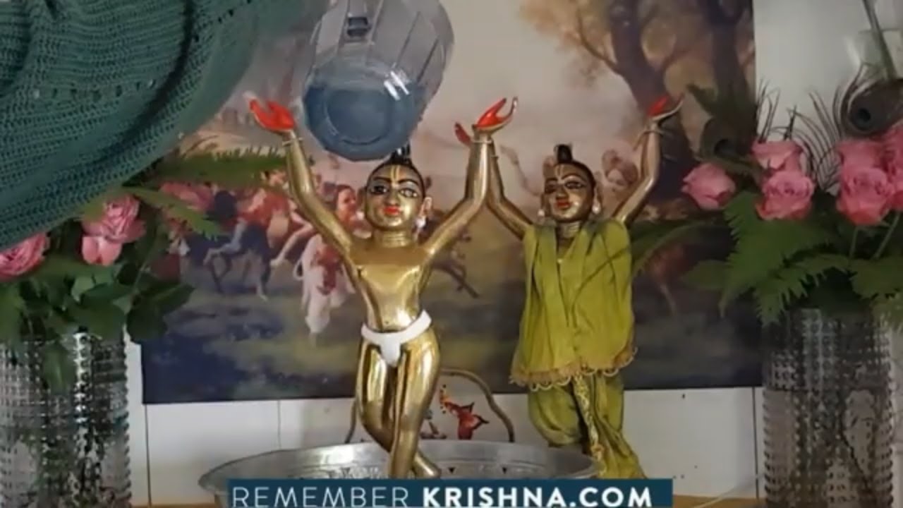 Home Deity Worship Abhishekam Daily Worship GauraNitai Deities
