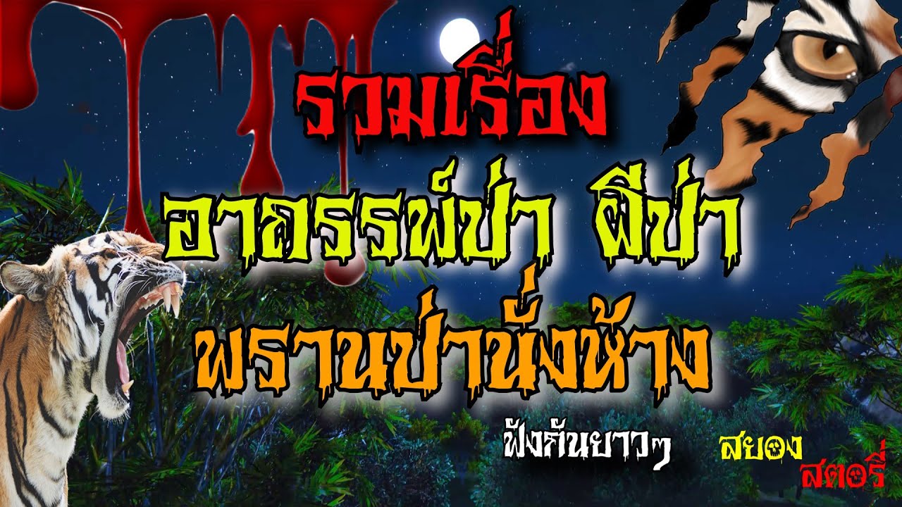 รวมเรื่อง อาถรรพ์ป่า ผีป่า พรานป่านั่งห้าง ฟังกันยาวๆ || สยอง สตอรี่