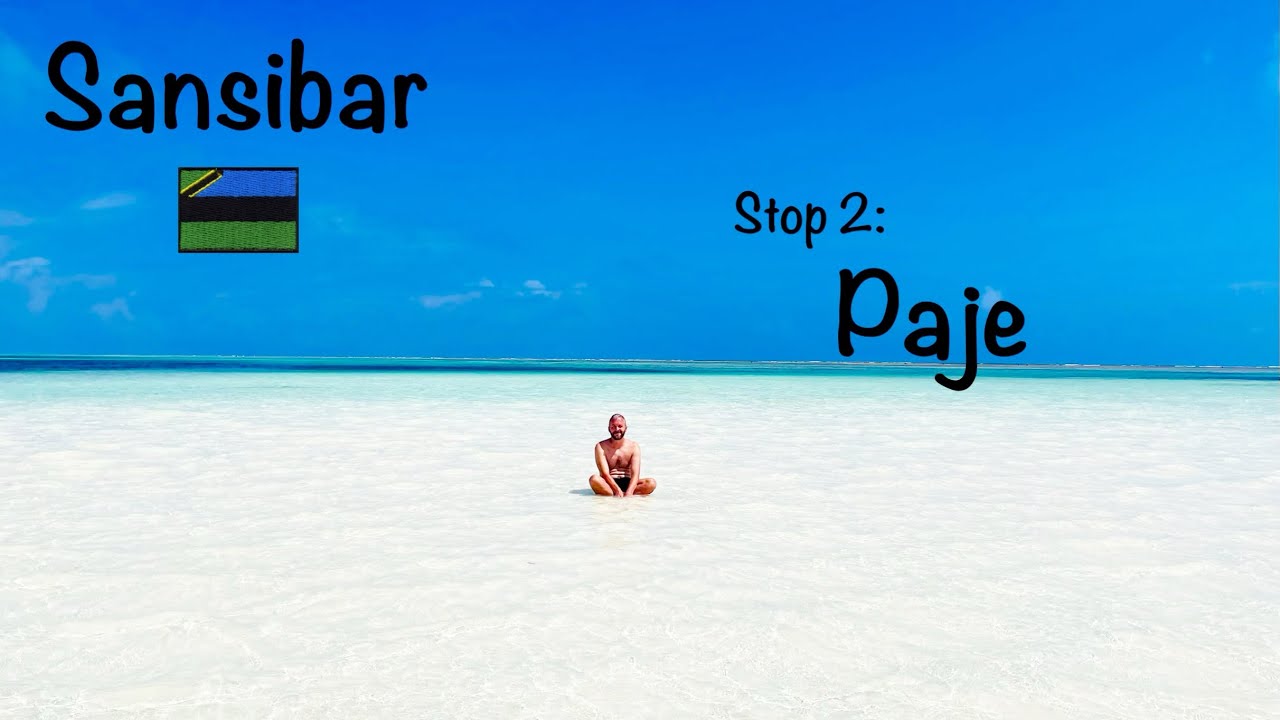 12 Tage Sansibar (2/3) | Paje, Pingwe & Jozani Forest | Vlog 2024