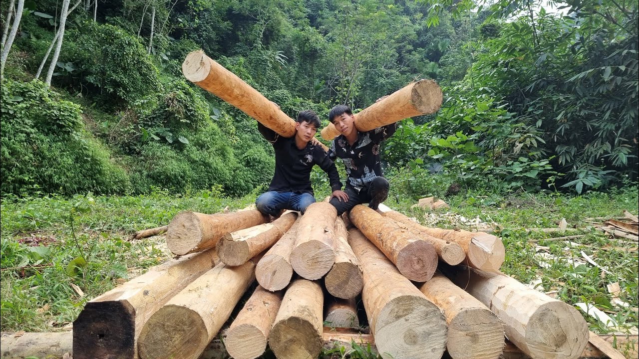Harvesting green beans, stone snails, and taro for sale. Cutting wood to build a new house