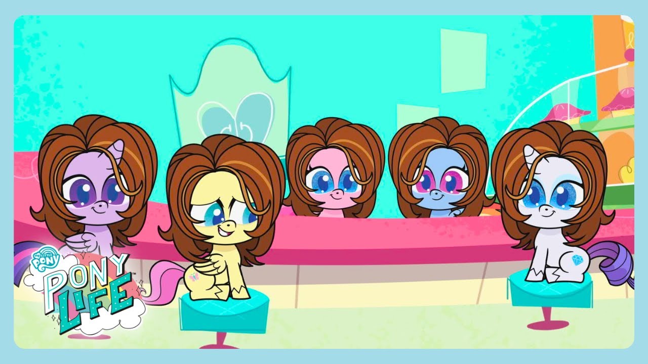 My Little Pony - A raiz disso | Desenhos animados para meninas | WildBrain Português