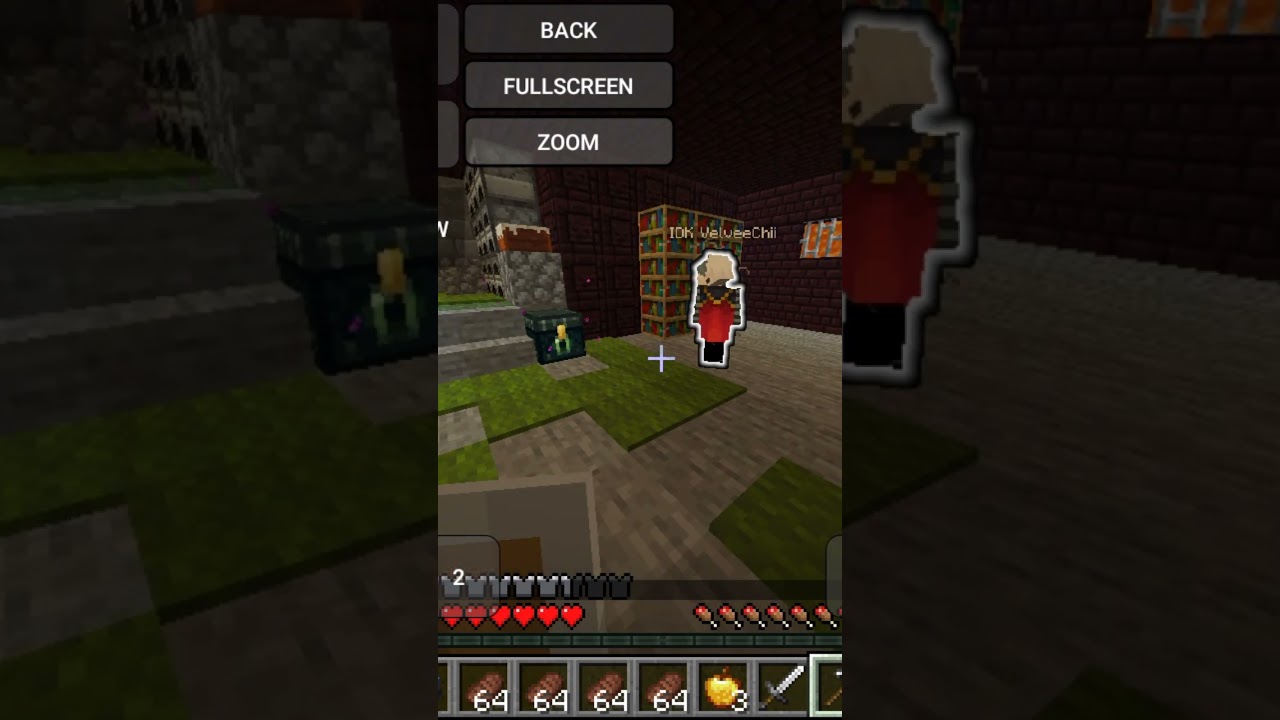 MOD GET CAUGHT MAKING PEOPLE BASESE|LIESTEAL SMP