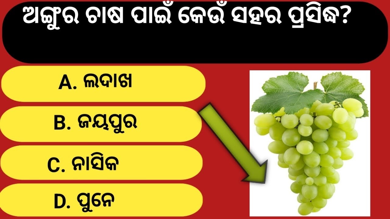 ଅଙ୍ଗୁର ଚାଷ ପାଇଁ କେଉଁ ସହର ପ୍ରସିଦ୍ଧ? #brgkstudy #gk #generalknowledgequiz