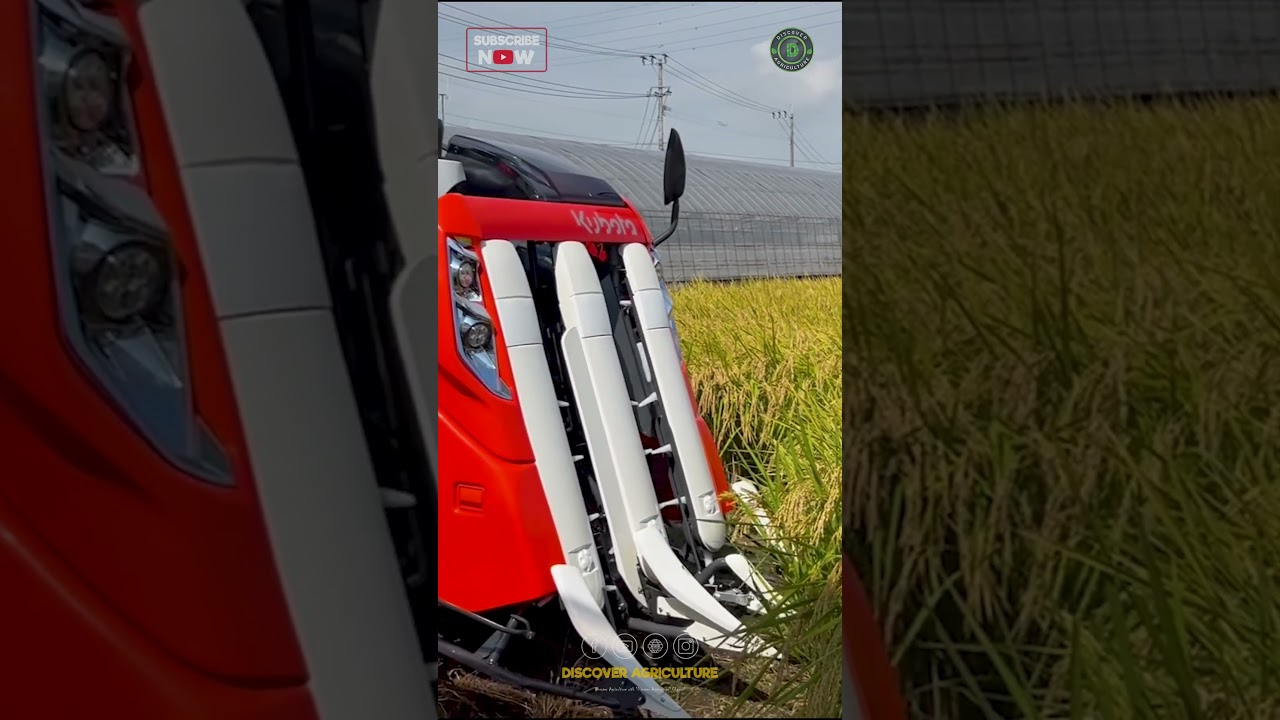Amazing Mini Combine Harvester Machine