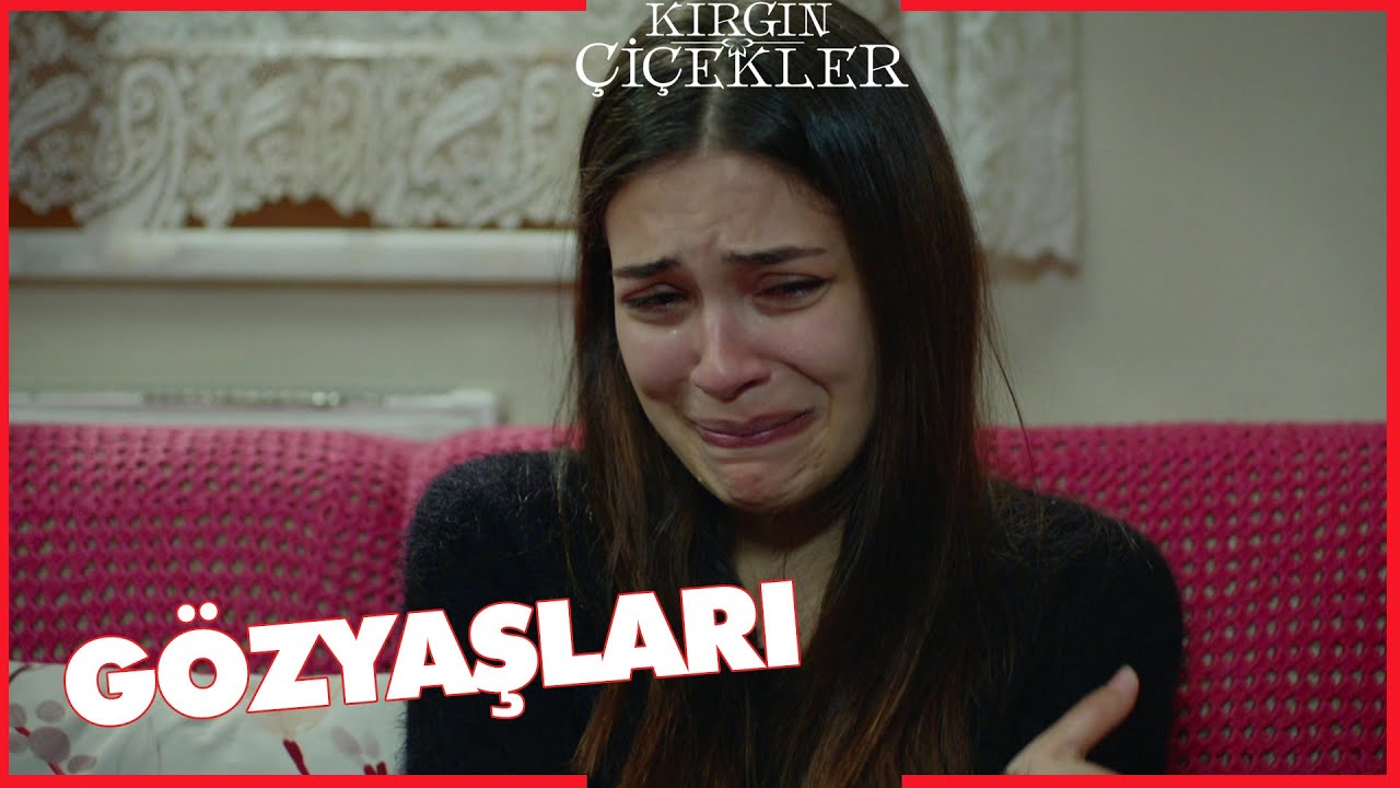 Kırgın Çiçekler Özel Kısa Bölümler | 259