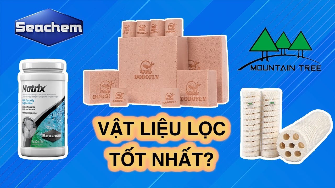 Cách Chọn Vật Liệu Lọc Cho Bể Cá Cảnh - Càng Đắt Càng Tốt? - Từ Sơ Thủ Thành Cá Thủ (Tập 2)