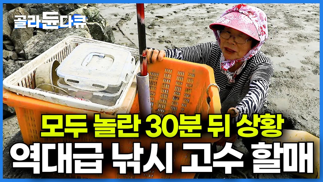 제작진도 당황한 30분 뒤 바구니 상태. 역대급 낚시 고수가 갯벌에 들어가면 벌어지는 일│짱뚱어 잡이│한국기행│#골라듄다큐