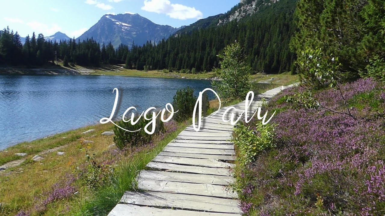 LAGO PALU' • mt 1935  ↟ Immersi nella natura