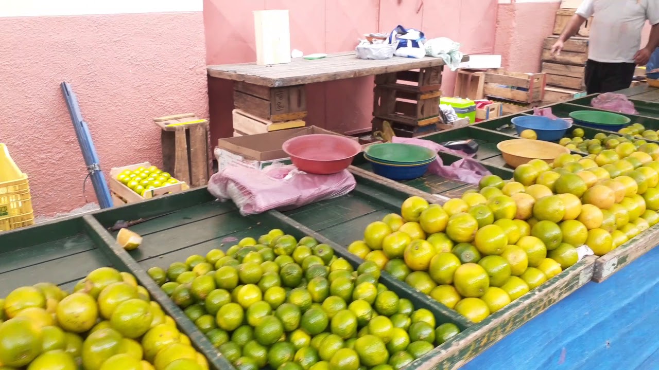 في طريقي الي السوق، من أرقى أحياء ساو باولو